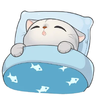 😴