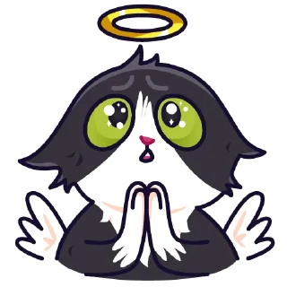 🙏