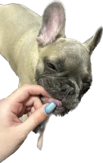 😋