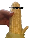 🌽