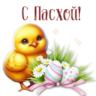 🐥