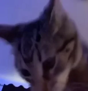 💃
