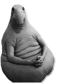 🪥