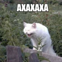😄