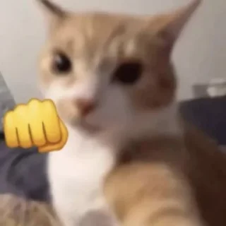 👊