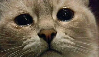 😢