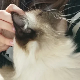 🥰