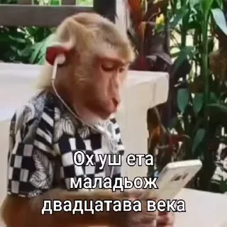 🐵
