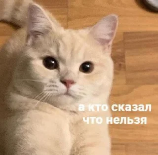 🧐