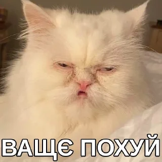 🙄