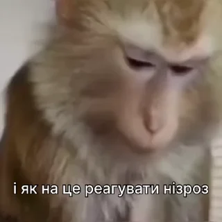 💭