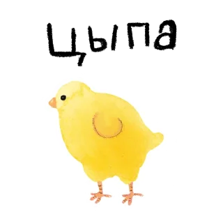 🐥