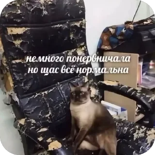🫥