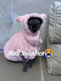 😭
