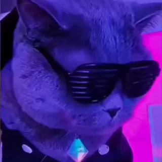 🤩