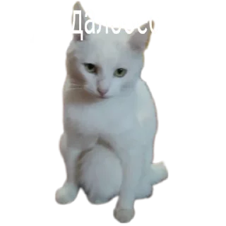 😒