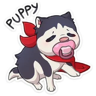 🐶