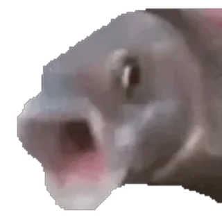 😱