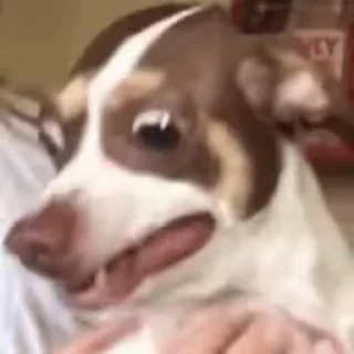 🫠