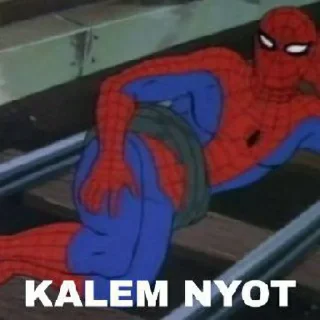 🕸