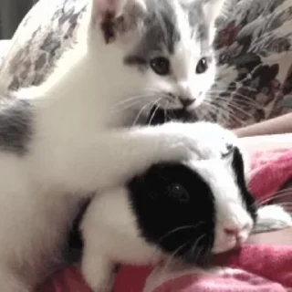 🥰