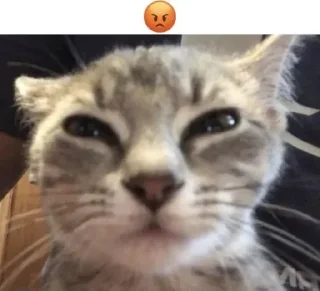 😡