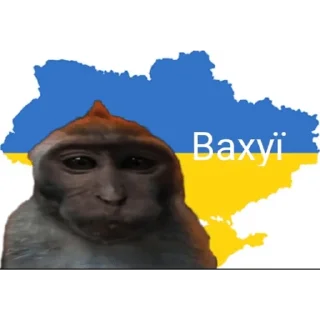 🐵