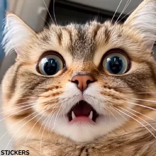 🥴