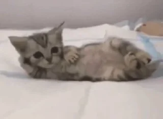 😍