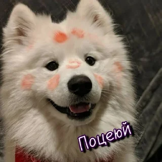 😟