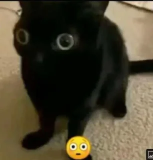 😳