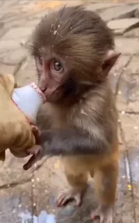 🤩