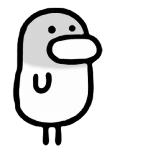 🐤