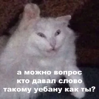 🤬
