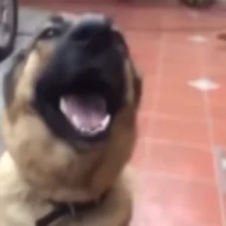 😃
