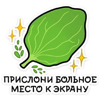 🌿