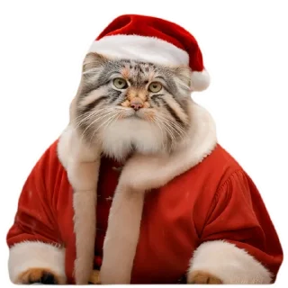🎅