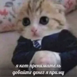 💰