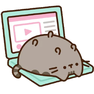 💻