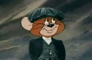 🕵