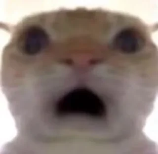 😦