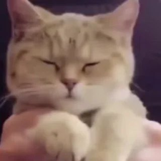 😚