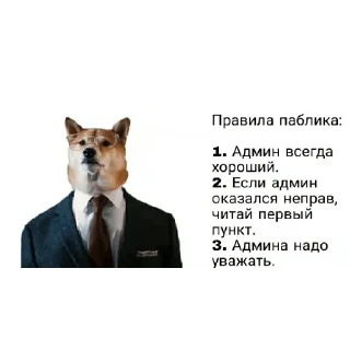 😎