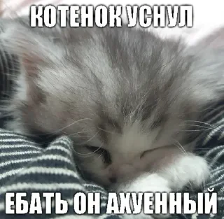 💤