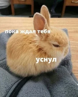 😴