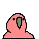 🦜