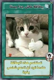 👍