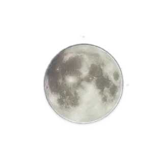 🌕