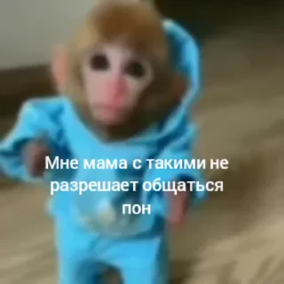 🐵