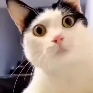 😧